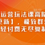拼多多运营玩法课高阶运营【2月更新】，极致群爆款玩法，轻付费无尽复制等