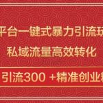 跨平台一键式暴力引流玩法，私域流量高效转化日引流300 +精准创业粉