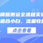 小说推文卡模版搬运全流程实操演示，操作简单适合小白，流量收益嘎嘎