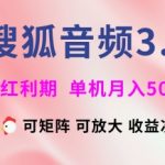 搜狐音频挂ji3.0.可矩阵可放大，独家技术，稳定月入5000+【揭秘】