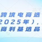 亚马逊跨境电商选品案例(更新2025年3月)，跨境电商利基选品