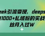 deepseek引流变现，deepseek被动日加1000+私域粉的实战，0粉丝月入过W