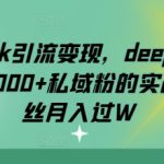 deepseek引流变现，deepseek被动日加1000+私域粉的实战，0粉丝月入过W
