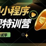 2025火爆微信小程序挂JI推广，全自动被动收益，自测稳定5张【揭秘】