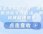 淘宝蓝海无货源课，精细运营，拒绝短平快玩法，拒绝简短课程凑章节”