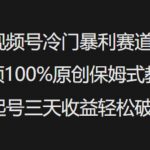 视频号冷门暴利赛道视频100%原创保姆式教学起号三天收益轻松破千