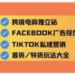 跨境电商独立站及全域流量营销，从0基础快速入门并精通跨境电商运营