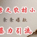 deepseek写农村小项目，条条爆款，暴力引流