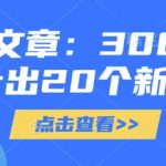 付费文章：300元设计出20个新品