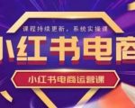 小红书电商运营实操课，​新手从0~1落地实操