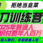 【网创项目终点站-镰刀训练营超级IP合伙人】25年普通人如何通过知识付费实现逆袭【揭秘】
