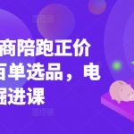 小红书电商陪跑正价课，小红书官方认证电商讲师教学，日出百单选品，电商掘进课