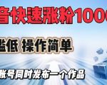 抖音快速涨1000+粉，门槛低操作简单，可多账号同时发布一个作品