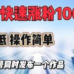 抖音快速涨1000+粉，门槛低操作简单，可多账号同时发布一个作品
