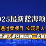 2025蓝海项目，普通人如何通过卖项目，实现月入过W，全过程【揭秘】