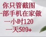 你只管截图，一部手机在家操作，一小时120.一天5张