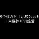 超级个体系列，玩转DeepSeek·自媒体IP训练营，deepseek教程