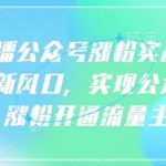“语音直播公众号涨粉实战指南，你抓住新风口，实现公众号快速涨粉开通流量主