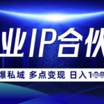 云帆·创业ip合伙人打造3.0，从0到1教你做网创，实现月入过W