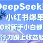 DeepSeek赋能小红书爆单玩法0粉新手小白都能操作，执行力跟上收益轻松上W，懒人勿做