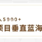 虚拟项目垂直玩法，实现单店月入5k+