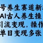 视频号养生赛道新玩法，AI古人养生操，疯狂引流变现，操作简单，单日变现多张