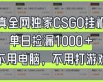 真全网独家CSGO挂G，单日捡漏1k+【揭秘】