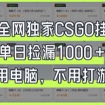 真全网独家CSGO挂G，单日捡漏1k+【揭秘】