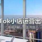 TikTok小店运营出单课，从开店选品、运营出单、发货回款，进行全流程讲解