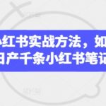 2025小红书实战方法，如何快速日产千条小红书笔记
