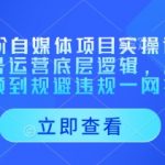 AI高阶自媒体项目实操课，讲透账号运营底层逻辑，从发布视频到规避违规一网打尽