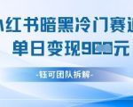 小红书冷门暗黑赛道，单日收益多张