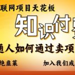 互联网项目天花板，知付付费项目，普通人如何通过卖项目月入十个，拒绝韭菜【揭秘】