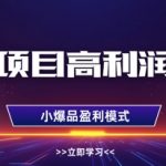 虚拟项目高利润选品方法，做好单店利润1W+，可多店倍增利润