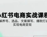 小红书从0-1实操课(2023-2025)，详解养号、选品、文案撰写、爆款打造实现电商变现