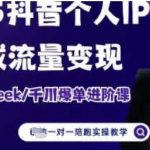 2025个人IP短视频带货(进阶版)全域流量变现，deepseek千川爆单进阶课