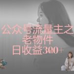 公众号流量主之老物件日收益300+