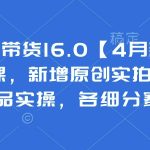 抖音图文带货16.0【4月新课】基础+精英课，新增原创实拍、视频混剪、选品实操，各细分赛道实操