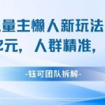 视频号流量主懒人新玩法，一天收益1k，人群精准收益高