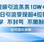 国学视频引流条条10W+点赞当日引流变现超4位数