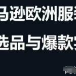 跨境电商选品案例24-25年，聚焦跨境电商选品策略与运营优化，助力卖家挖掘蓝海市场