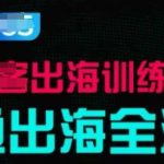 出海训练营基础课，​跑通出海全流程，实战案例拆解