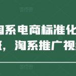 2025年淘系电商标准化起店流程私教班，淘系推广视频教程