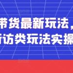 短视频带货最新玩法，带货视频之街访类玩法实操全流程”
