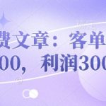 付费文章：客单价500，利润300
