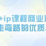 AI绘画+ip课程商业精品课，少走弯路的优质AI课