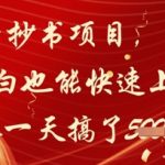 公众号抄书项目，简单粗暴，小白也能快速上手，有人一天搞了1k+”