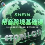 希音跨境基础课，SHEIN希音卖家入门实操指南，新手入坑希音必看