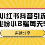 小红书抖音创业粉，小B端粉自热，日引99+的一个玩法【揭秘】