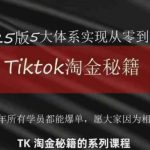 TikTok跨境2025淘金秘籍，​2025TikTok从0到盈利变现